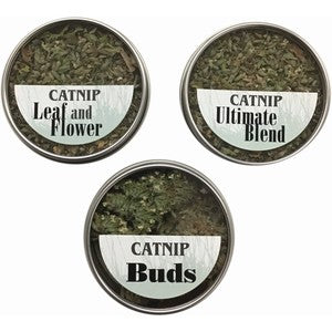 Catnip - Catnip Flight