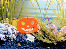 Load image into Gallery viewer, Fish Tank Deco - Orange Acrylic Jack-o-Lantern
